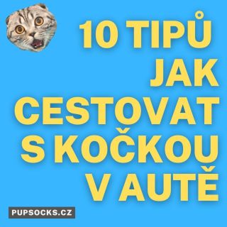 Cestování s kočkou v autě může být pro některé majitele koček výzvou. Některé kočky nejsou zvyklé na jízdu v autě a mohou...