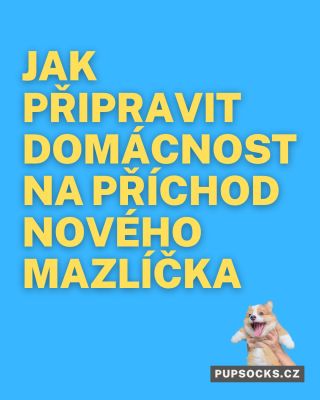 🦴🐾 Připravte svůj domov na příchod nového mazlíčka! 🏡🐶🐱 Máte doma všechno, co váš nový chlupatý kamarád potřebuje?...
