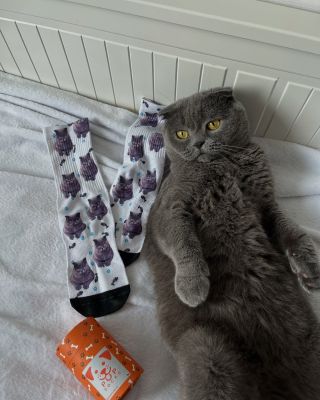 „Ano, to jsem já. Na ponožkách, a taky vedle nich. A ano, pořád vypadám líp než ty ráno.“